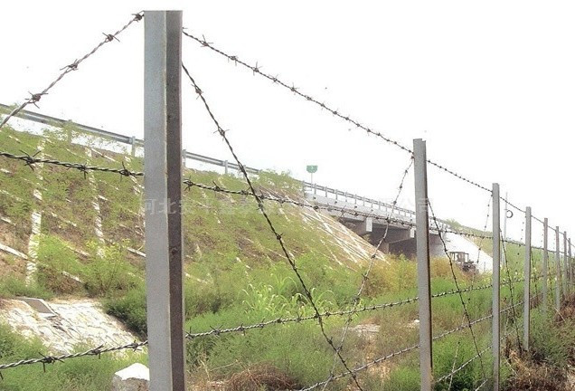 刺繩防護(hù)網(wǎng) 刺繩防護(hù)網(wǎng)